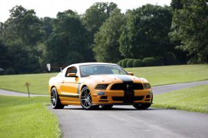 Ford Mustang Boss 302S Race Car